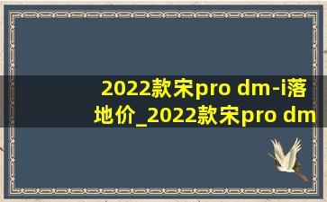 2022款宋pro dm-i落地价_2022款宋pro dmi落地价明细